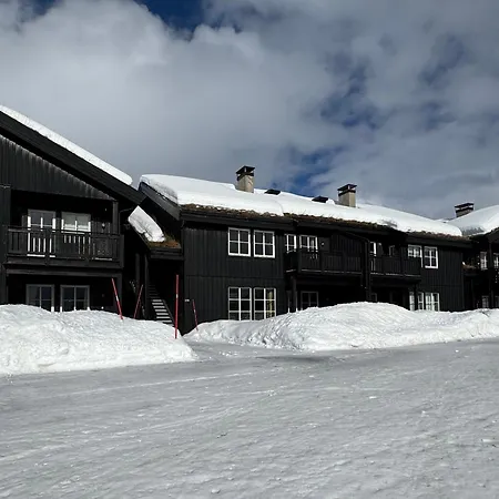 Grønebakkins Smørøye * Beitostolen